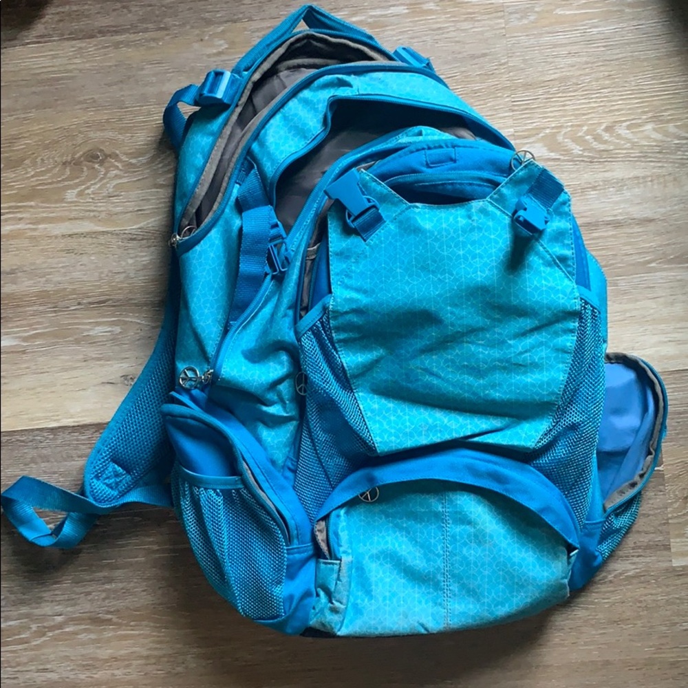 Backpack with multiple utility pockets.